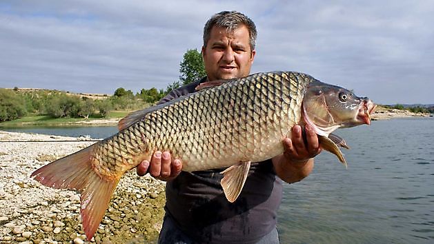 Op zoek naar avontuur in een prachtige omgeving? - Ceitón fishing holidays off grid cottage rental