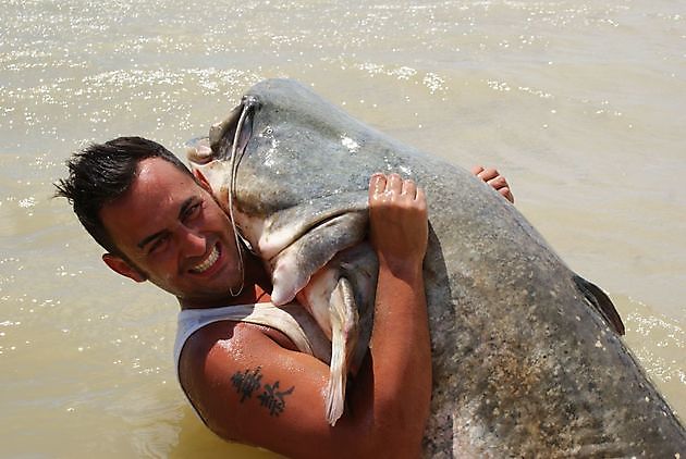 Different fish species in the Ebro - Ceitón fishing holidays off grid cottage rental