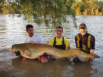 Vissen aan de Ebro meerval en karper Ceitón visvakanties off grid huisje huren