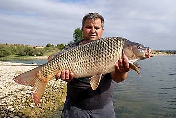 Vissen aan de Ebro meerval en karper Ceitón fishing holidays off grid cottage rental