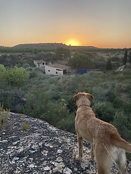 Mit Blick auf die Schönheit Ceitón fishing holidays off grid cottage rental